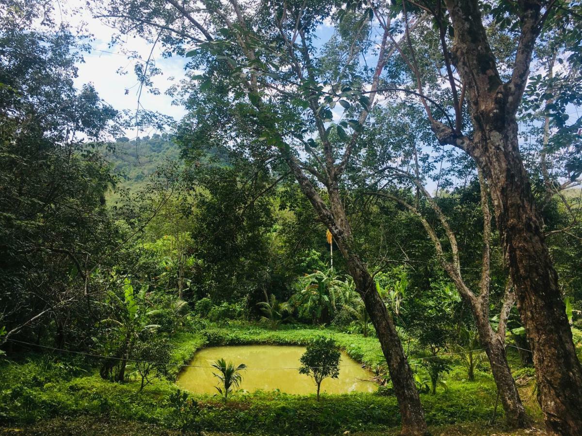Mookies Bungalows Ko Mook Luaran gambar